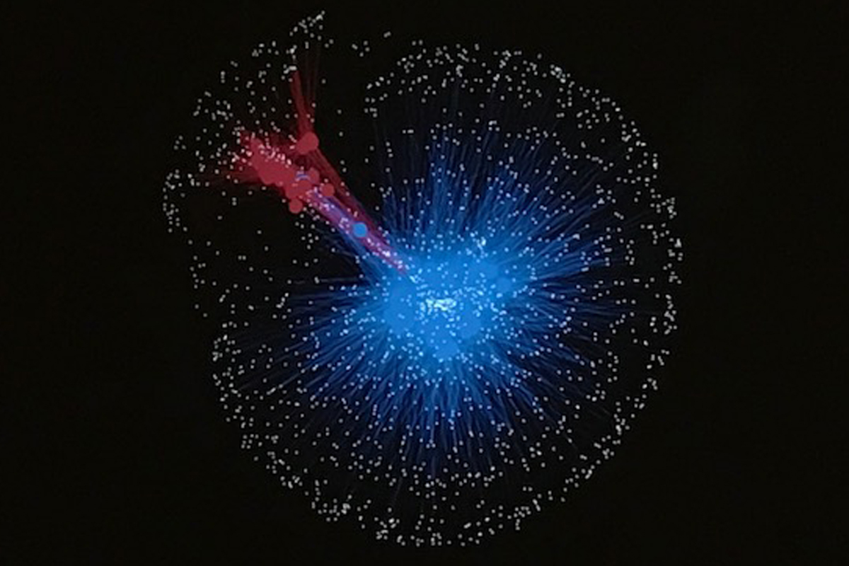 network of metagenomes