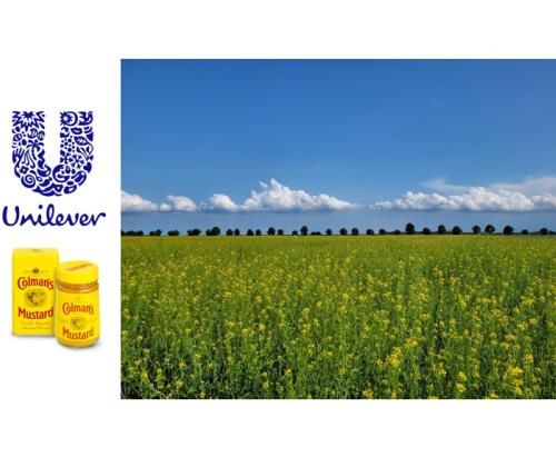 Unilever - Colemans logo and field