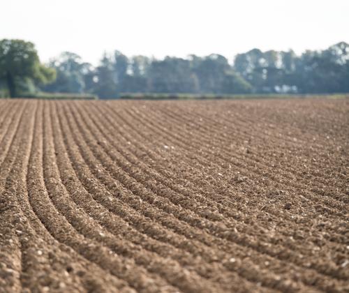 ploughed field photo credit Rothamsted Research