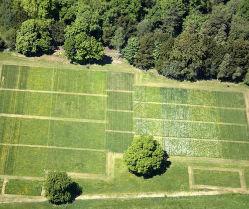 Park grass experiment